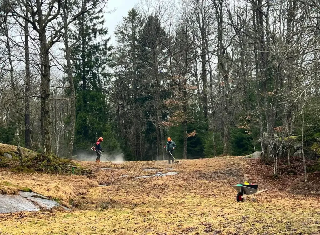 Ale Disc golf center gallery